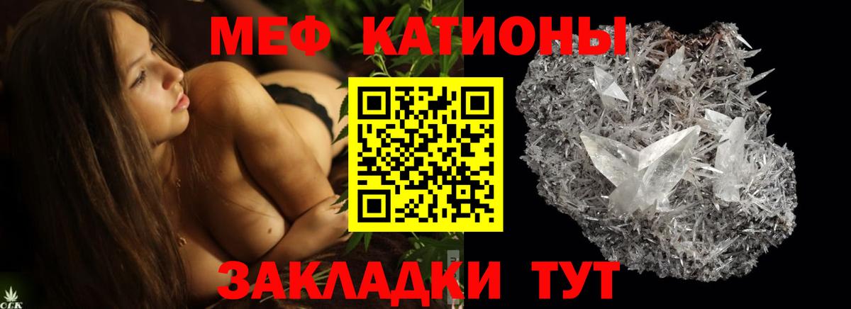 МЕФ  Фрязино